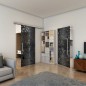 Glasschiebetür SLIM-LINE - Fineprint Modell 170 Schwarz auf Grauglas Glasschiebetür SLIM-LINE - Fineprint Modell 170 Schwarz auf Grauglas