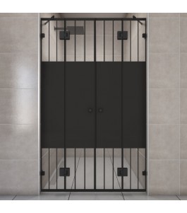 Duschtüren Escada 06 - Pendelband - Schwarz - Loft 4