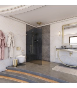 Walk In Dusche Royal 12-Chrom-Grauglas