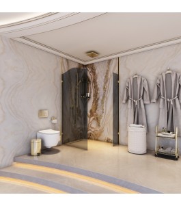 Walk In Dusche Royal 14-Chrom-Grauglas