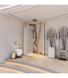 Walk In Dusche Royal 14-Chrom-Satino