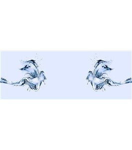 Glas Küchenrückwand 6 mm ESG Motive KRWM-0149