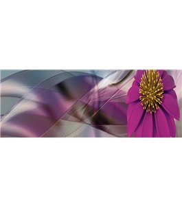 Glas Küchenrückwand 6 mm ESG Motive KRWM-0226