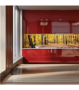 Glas Küchenrückwand 6 mm ESG Motive KRWM-0256