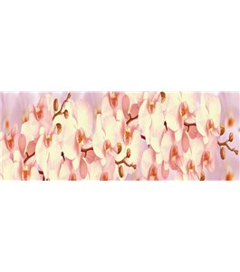 Glas Küchenrückwand 6 mm ESG Motive KRWM-0265