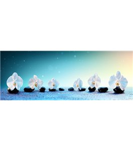 Glas Küchenrückwand 6 mm ESG Motive KRWM-0297