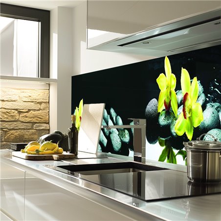 Glas Küchenrückwand 6 mm ESG Motive KRWM-0300