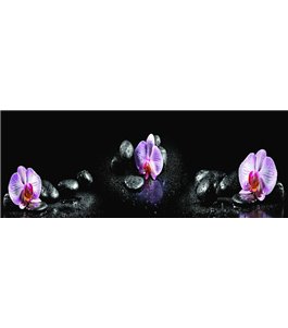 Glas Küchenrückwand 6 mm ESG Motive KRWM-0305