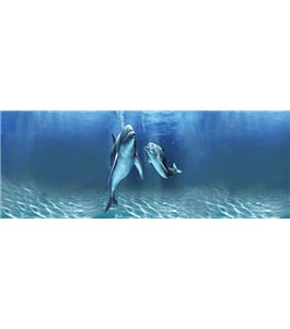 Glas Küchenrückwand 6 mm ESG Motive KRWM-0306