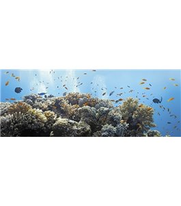 Glas Küchenrückwand 6 mm ESG Motive KRWM-0346