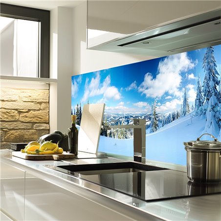 Glas Küchenrückwand 6 mm ESG Motive KRWM-0355