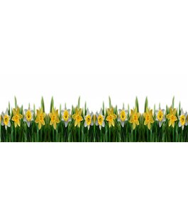 Glas Küchenrückwand 6 mm ESG Motive KRWM-0358