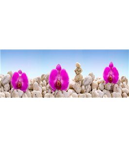 Glas Küchenrückwand 6 mm ESG Motive KRWM-0385