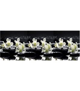 Glas Küchenrückwand 6 mm ESG Motive KRWM-0399