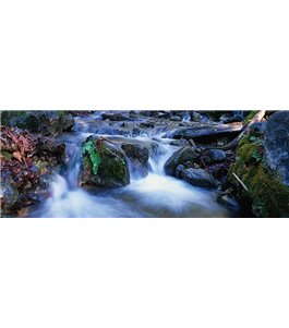 Glas Küchenrückwand 6 mm ESG Motive KRWM-0403