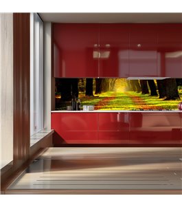 Glas Küchenrückwand 6 mm ESG Motive KRWM-0409