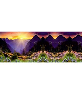 Glas Küchenrückwand 6 mm ESG Motive KRWM-0412