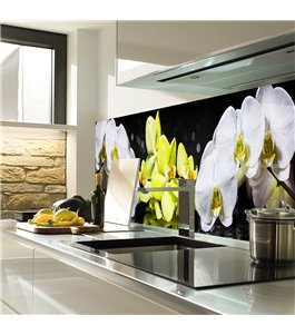 Glas Küchenrückwand 6 mm ESG Motive KRWM-0413