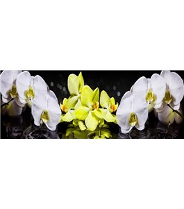 Glas Küchenrückwand 6 mm ESG Motive KRWM-0413