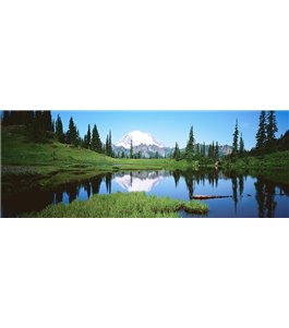 Glas Küchenrückwand 6 mm ESG Motive KRWM-0418