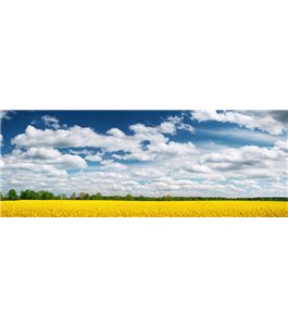 Glas Küchenrückwand 6 mm ESG Motive KRWM-0419