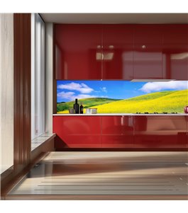 Glas Küchenrückwand 6 mm ESG Motive KRWM-0431