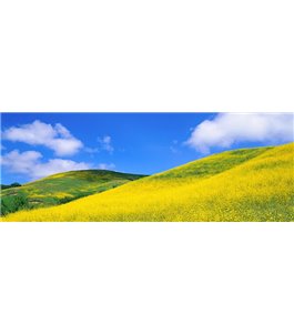 Glas Küchenrückwand 6 mm ESG Motive KRWM-0431