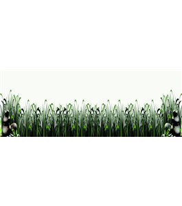 Glas Küchenrückwand 6 mm ESG Motive KRWM-0454