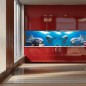 Glas Küchenrückwand 6 mm ESG Motive KRWM-0532 Glas Küchenrückwand 6 mm ESG Motive KRWM-0532