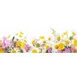 Glas Küchenrückwand 6 mm ESG Motive KRWM-0551 Glas Küchenrückwand 6 mm ESG Motive KRWM-0551