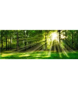Glas Küchenrückwand 6 mm ESG Motive KRWM-0974