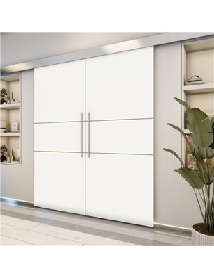 Holzschiebetür Eco-Line - Design-Linien  Model 3006-2