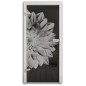 Ganzglastür Blume 4 Gelasert Auf Grauglas Ganzglastür Blume 4 Gelasert Auf Grauglas