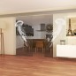 Glasschiebetür ECO-LINE Qualle II Gelasert Auf Klarglas Glasschiebetür ECO-LINE Qualle II Gelasert Auf Klarglas