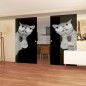 Glasschiebetür ECO-LINE Drinking Cat Gelasert Auf Grauglas Glasschiebetür ECO-LINE Drinking Cat Gelasert Auf Grauglas