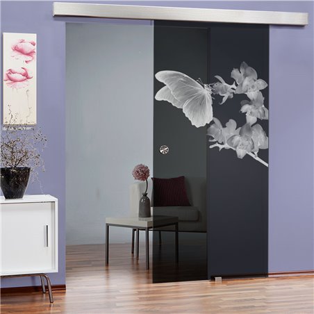 Glasschiebetür ECO-LINE Butterfly Gelasert Auf Grauglas