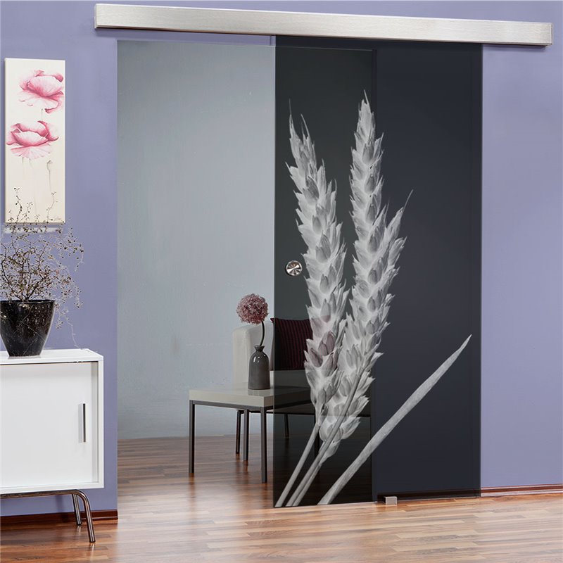 Glasschiebetür ECO-LINE Ernte III Gelasert Auf Grauglas Glasschiebetür ECO-LINE Ernte III Gelasert Auf Grauglas