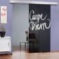 Glasschiebetür ECO-LINE Carpe Diem Gelasert Auf Grauglas Glasschiebetür ECO-LINE Carpe Diem Gelasert Auf Grauglas