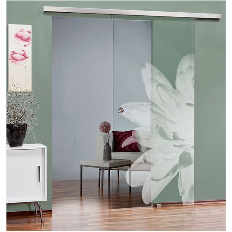 Glasschiebetür SLIM-LINE Blume 2 Gelasert Auf Klarglas