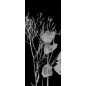 Glasschiebetür SLIM-LINE Blume 7 Gelasert Auf Klarglas Glasschiebetür SLIM-LINE Blume 7 Gelasert Auf Klarglas