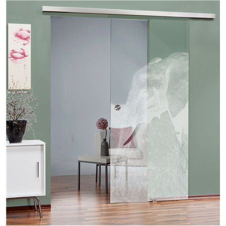 Glasschiebetür SLIM-LINE Elefant 3 Gelasert Auf Klarglas