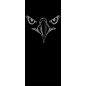 Glasschiebetür SLIM-LINE Eagle Eye Gelasert Auf Grauglas Glasschiebetür SLIM-LINE Eagle Eye Gelasert Auf Grauglas