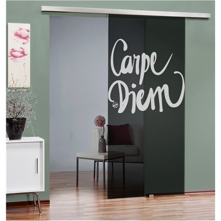 Glasschiebetür SLIM-LINE Carpe Diem Gelasert Auf Grauglas