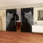 Glasschiebetür PIPE-LINE Cats Gelasert Auf Grauglas Glasschiebetür PIPE-LINE Cats Gelasert Auf Grauglas