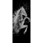 Lichtausschnitt flying Horse Gelasert Auf Grauglas Lichtausschnitt flying Horse Gelasert Auf Grauglas