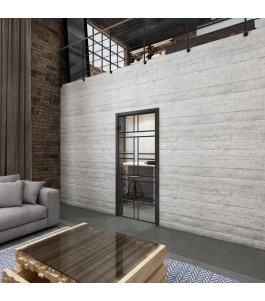 Ganzglastür Loft Schwarzlack 13 Auf Klarglas