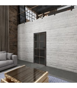 Ganzglastür Loft Rosteisen Genietet 06 Auf Grauglas