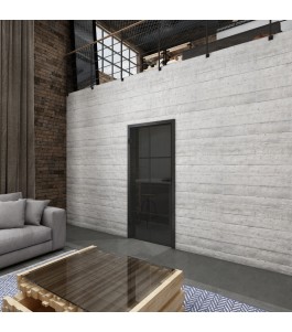 Ganzglastür Loft Schwarzlack 06 Auf Grauglas