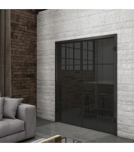 Ganzglastür Loft Schwarzlack 06 Auf Grauglas