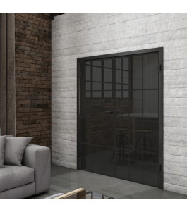 Ganzglastür Loft Schwarzlack 10 Auf Grauglas